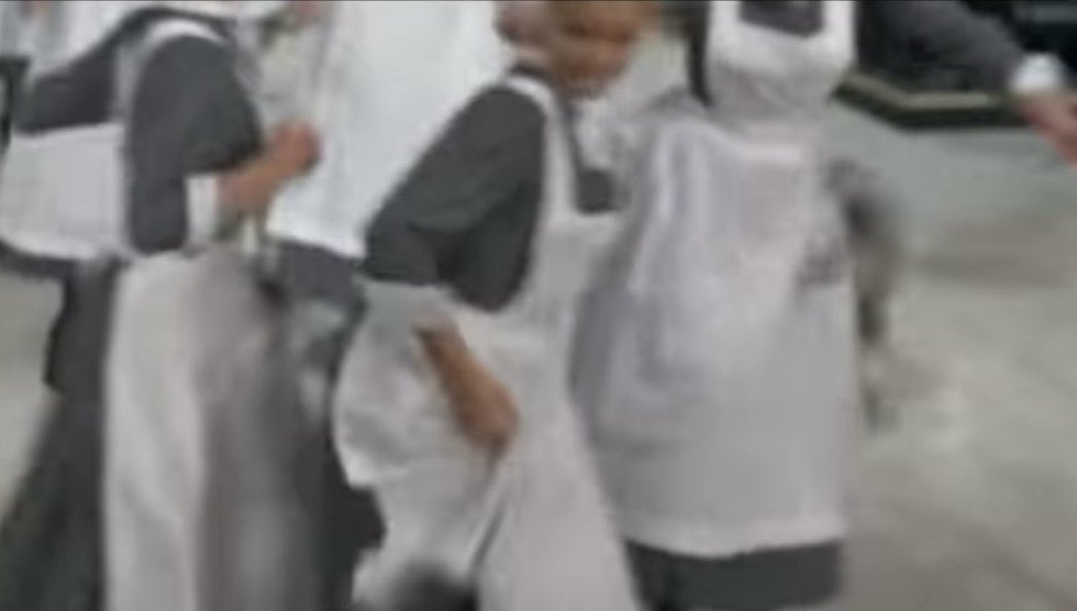 DimitriFuzz's tweet image. In Chitty Chitty Bang Bang, there is a fucking dog that falls off the staircase. Greatest stunt dog.