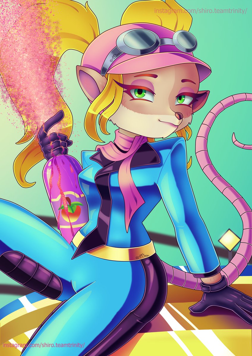 Shiro Team tweet media