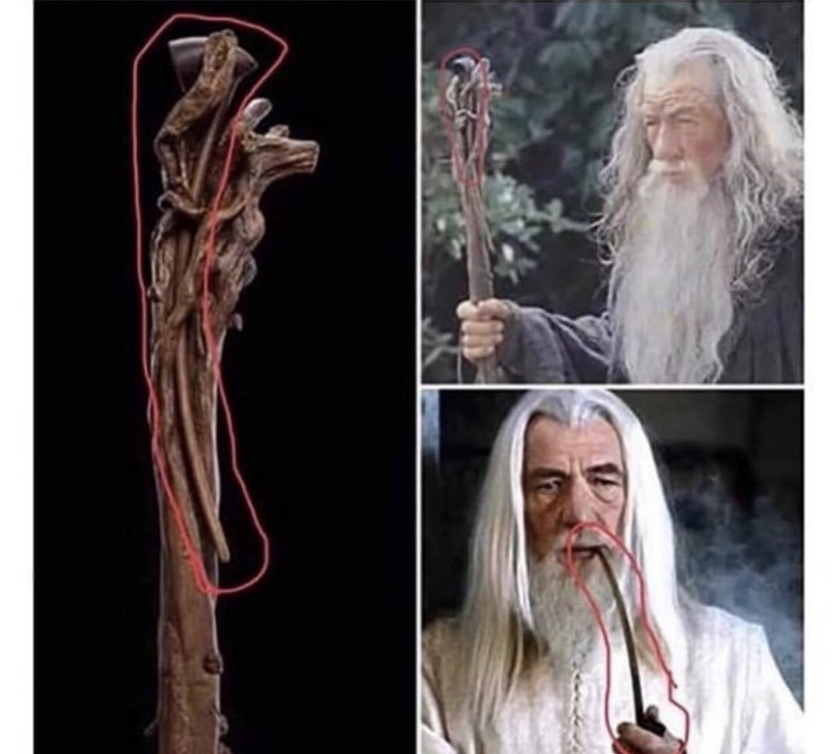 Love spotting this for this first time