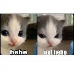 Goblin King - Shortstack Enjoyer tweet media