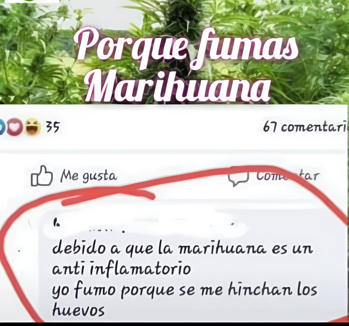 Dios_0ficial's tweet image. 