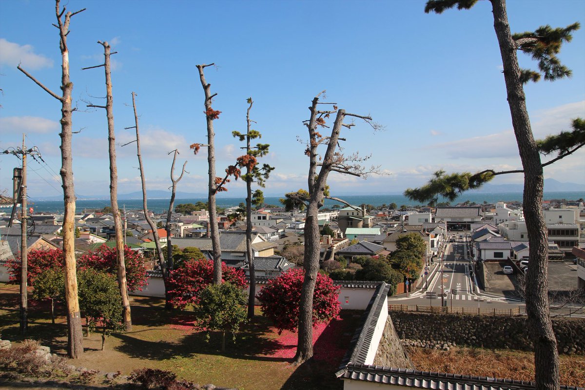 おはようございます
とても冷えていますね･･･　風邪ひかないようご注意を！

島原城から島原駅方面