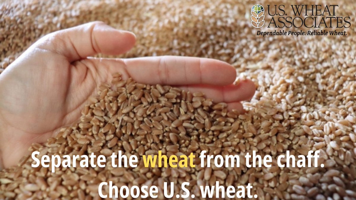 USWheatNigeria's tweet image. From harvest to shipment, U.S. wheat follows strict quality standards. That’s why Nigerian millers and bakers depend on U.S. wheat year after year.
#USWheat #QualityWheat #QualityYouCanTrust
