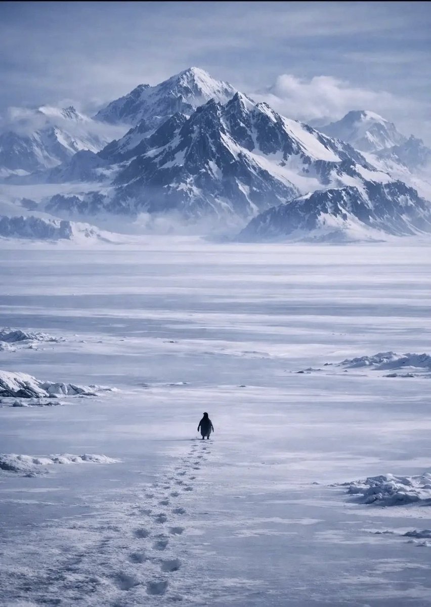 Ondřej Tesárek tweet media