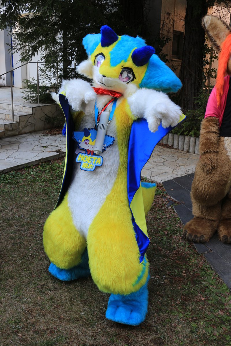 是政　KOREMASA tweet media