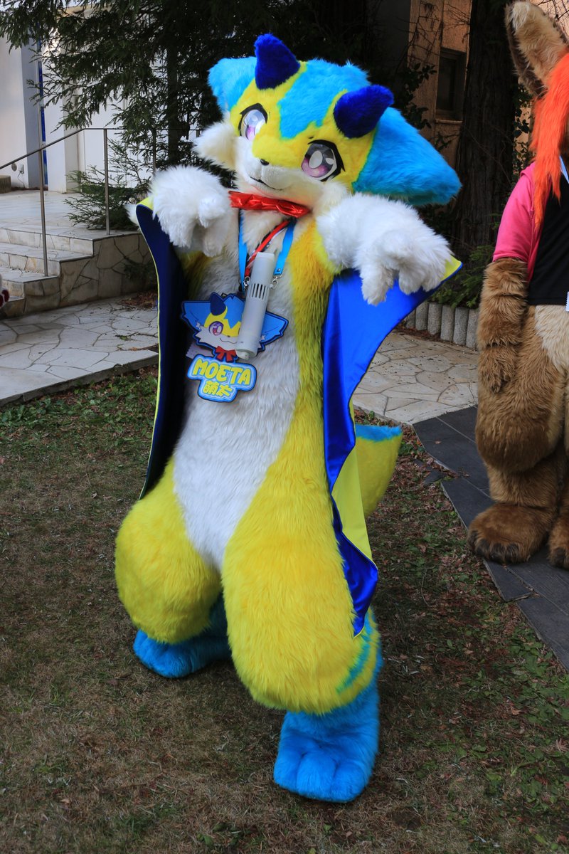 是政　KOREMASA tweet media