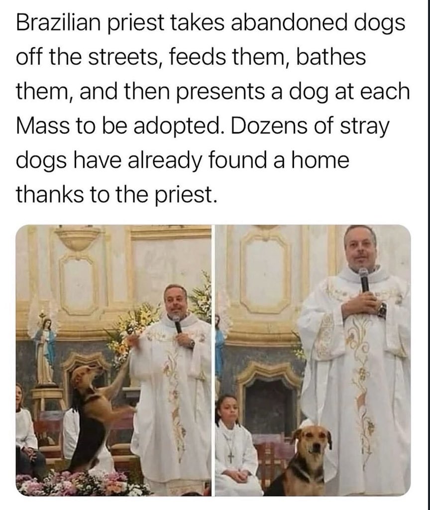 Puppieslover's tweet image. He’s doing the Lords work