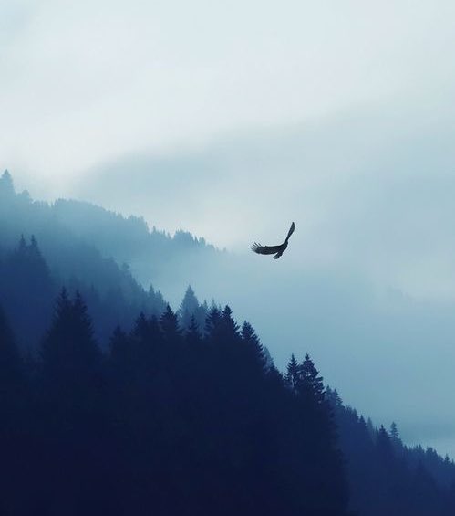 SEGA L'éveilleur® tweet media