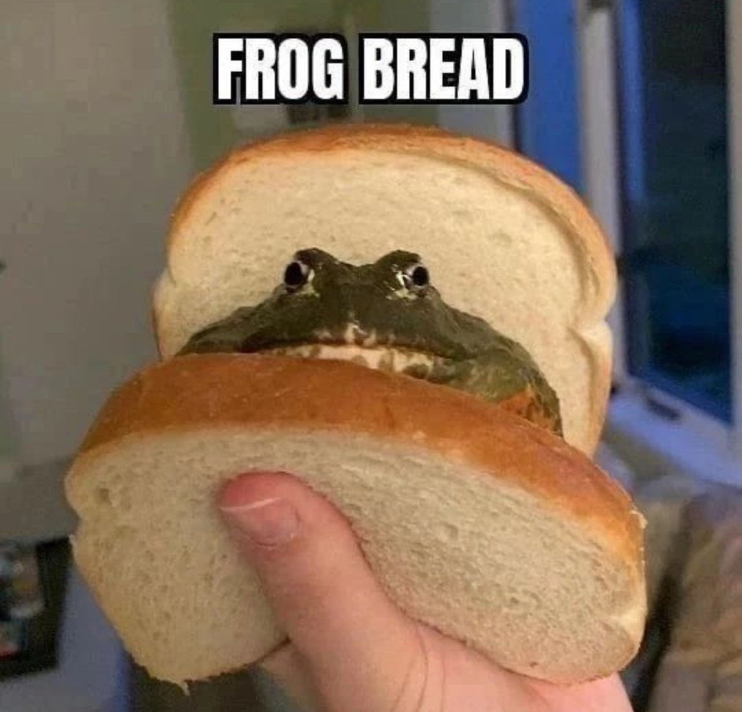 nocontextfrogs's tweet image. 