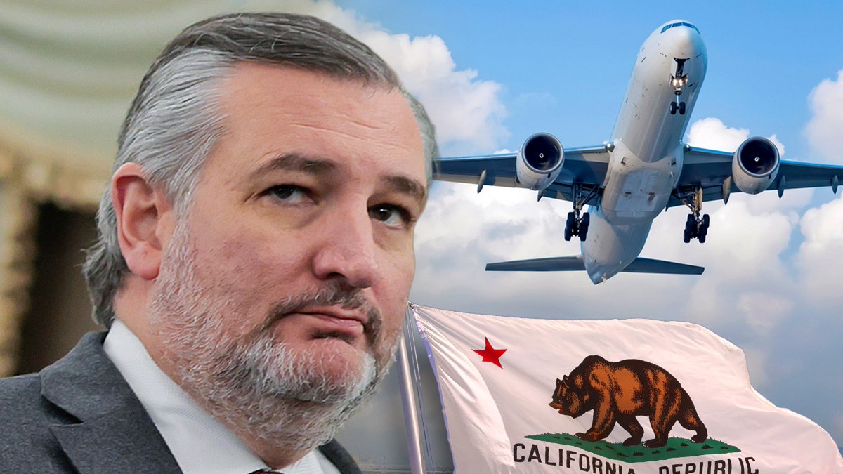 TMZ's tweet image. Ted Cruz was seen flying to California ahead of the winter storm in Texas. tmz.me/QGIPNJX