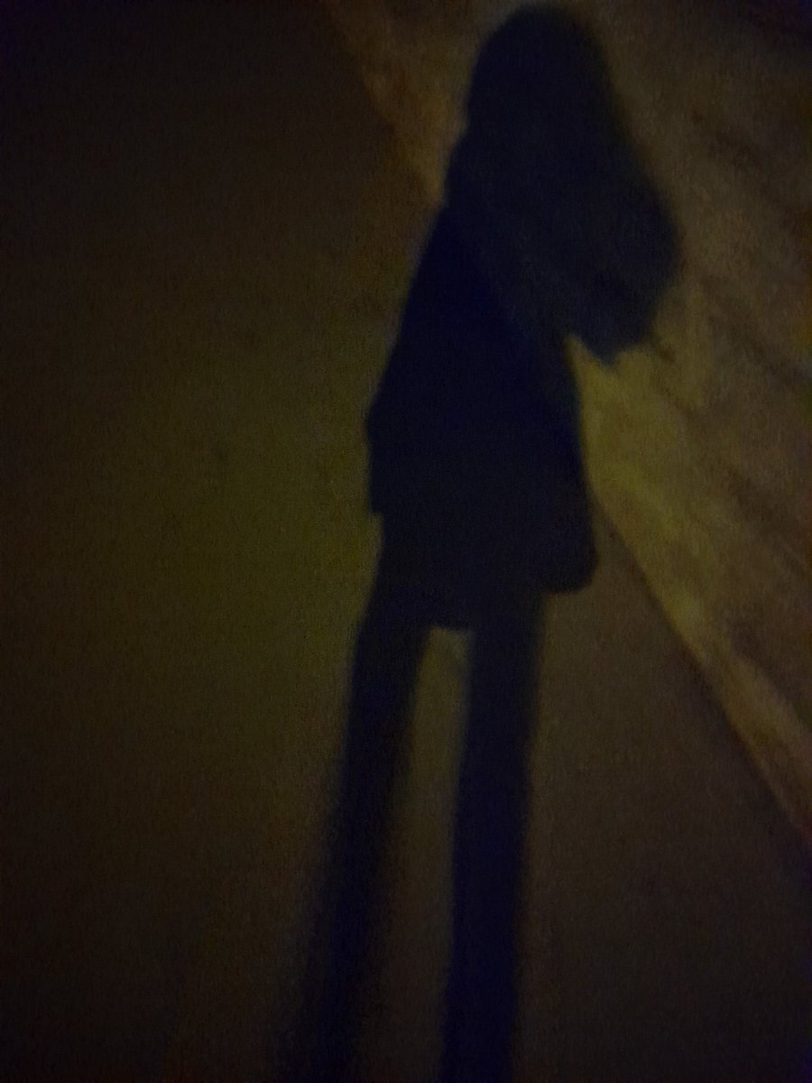 gtoslep's tweet photo. The sun isn't even up and I'm already questioning my life choices. 🚶‍♀️🌑 https://t.co/TpBLur0WP4