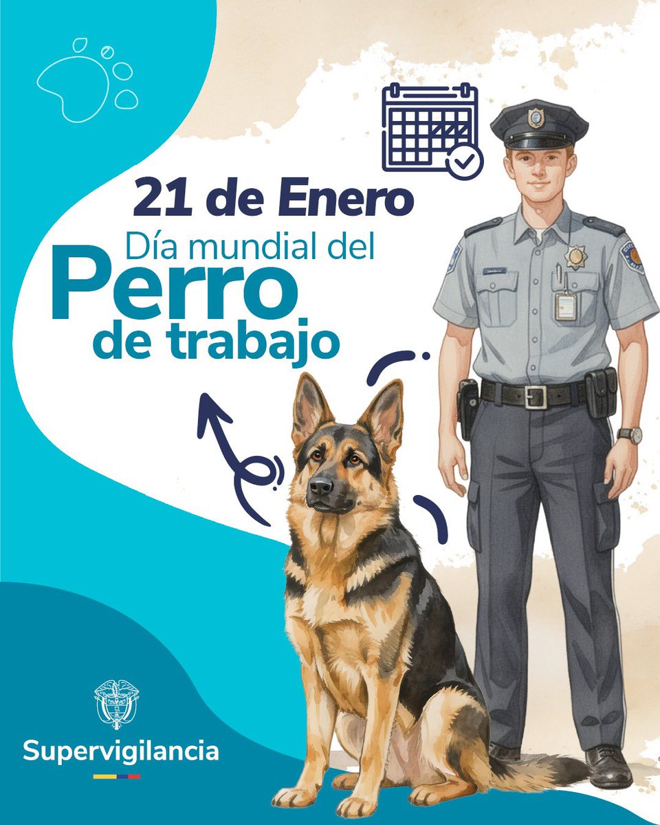Supervigilancia tweet media
