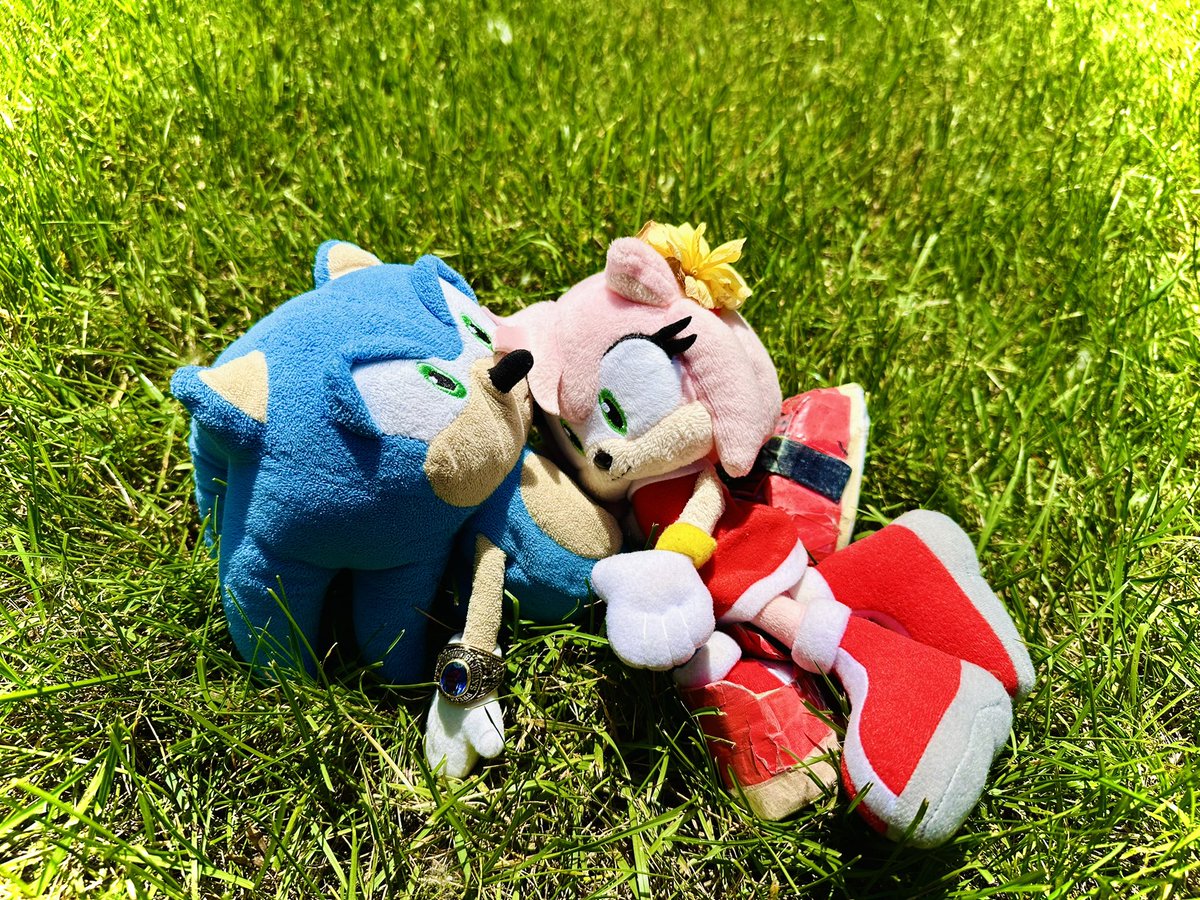 sonic_mikey72's tweet image. SonAmy💙🩷Plush pics I took from 2025
#SonicTheHedgehog #sonamy #sonicplush