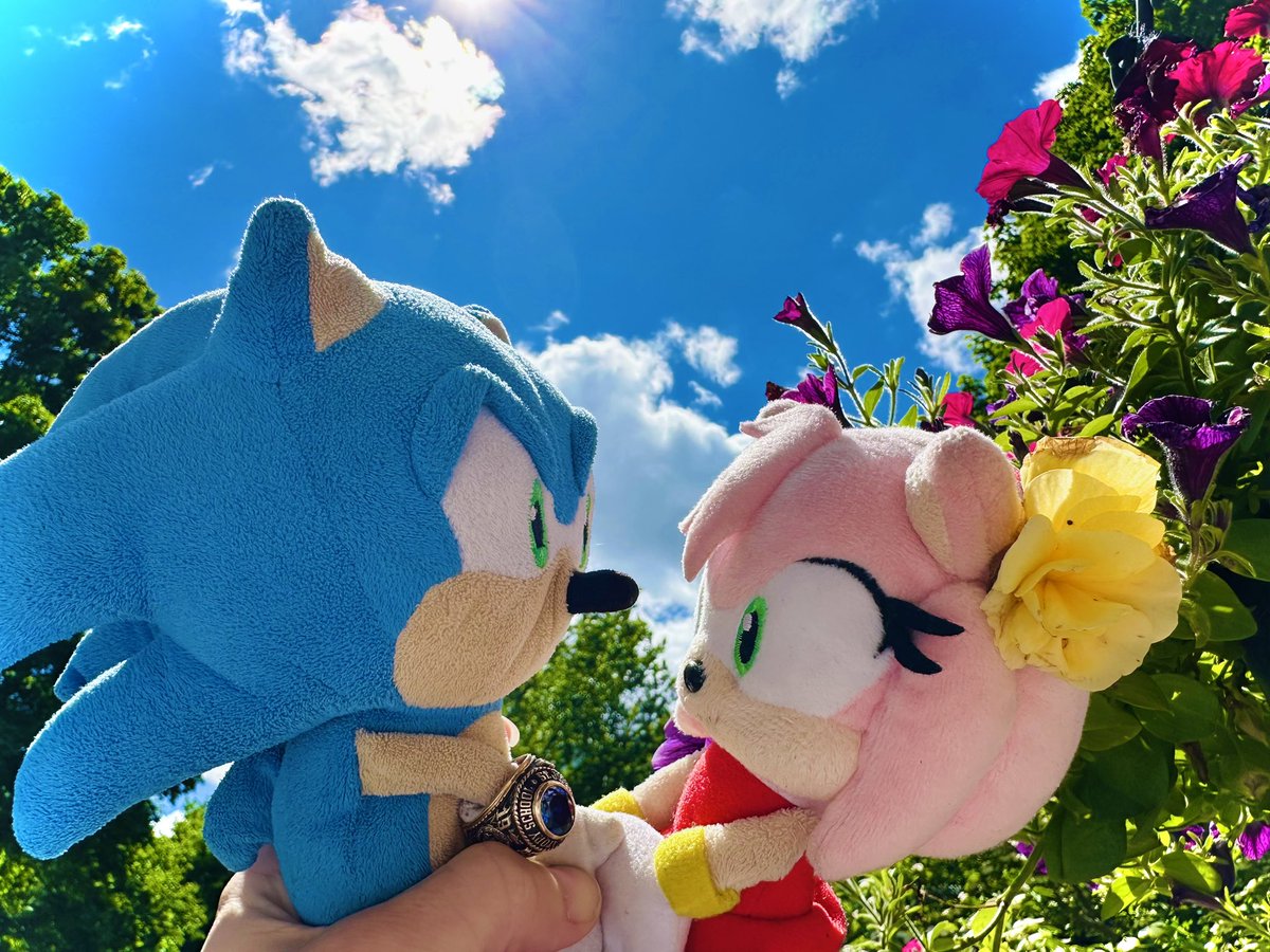sonic_mikey72's tweet image. SonAmy💙🩷Plush pics I took from 2025
#SonicTheHedgehog #sonamy #sonicplush