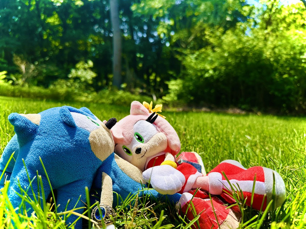 sonic_mikey72's tweet image. SonAmy💙🩷Plush pics I took from 2025
#SonicTheHedgehog #sonamy #sonicplush
