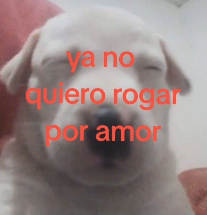 bekxiiuuu's tweet image. 