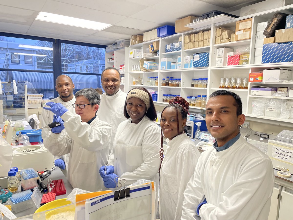 talbotlabTSL's tweet photo. Our MSc students learning CRISPR genome editing in Magnaporthe ⁦@TheSainsburyLab⁩ https://t.co/yCOPyHzAWz