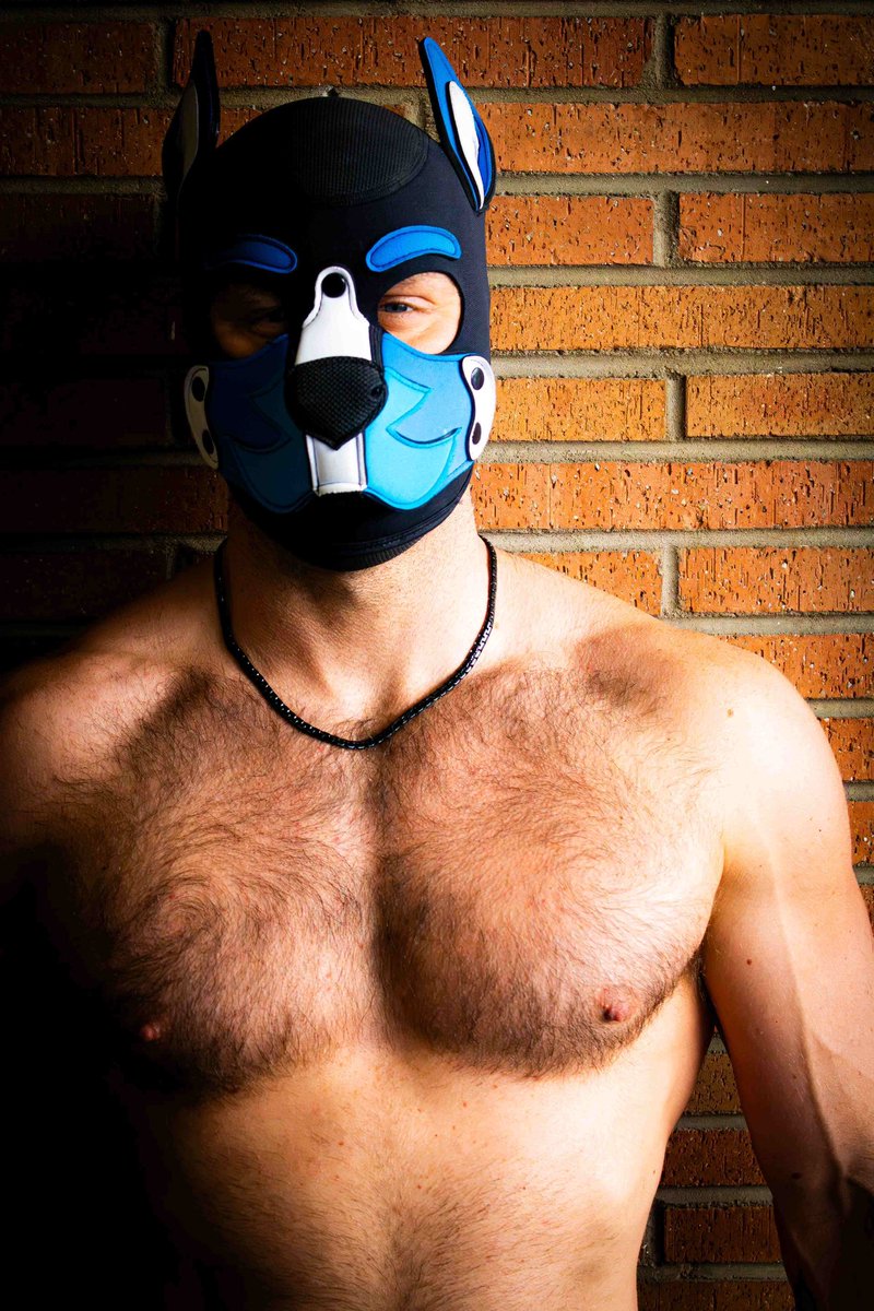 Dieter Wolfe (Cincy 4/8-13) tweet media