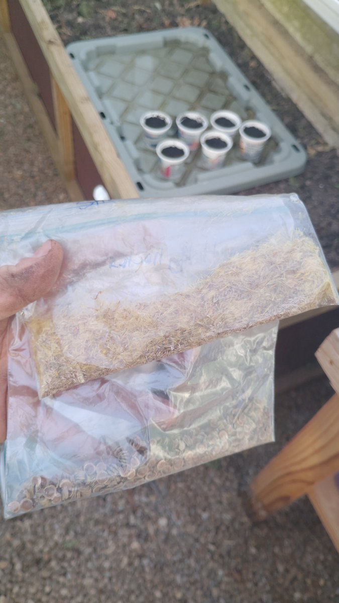 Mr. Taylor tweet media