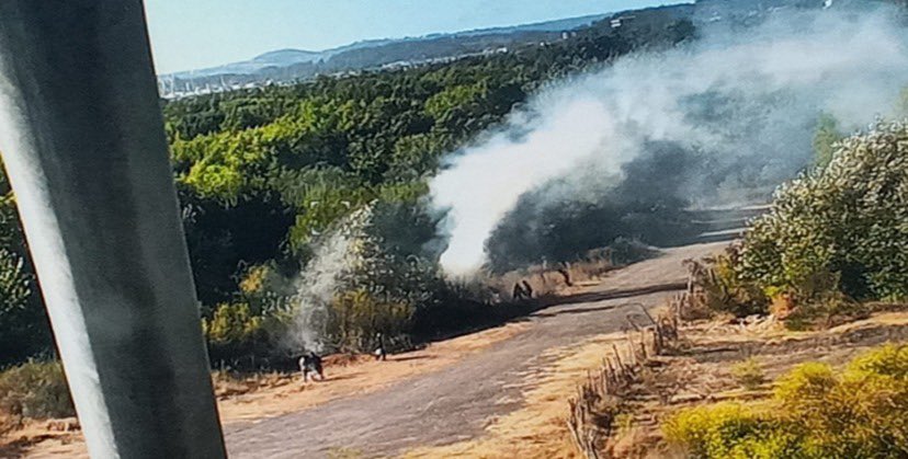 Juan Pablo Spoerer tweet media