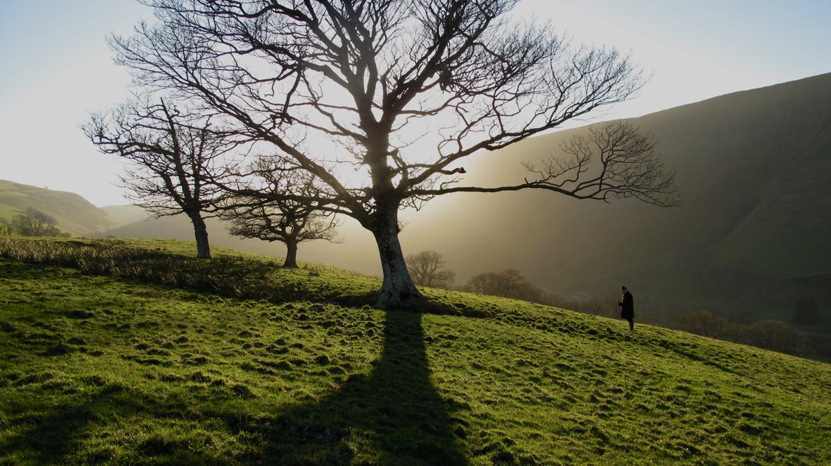 Terry Jones tweet media