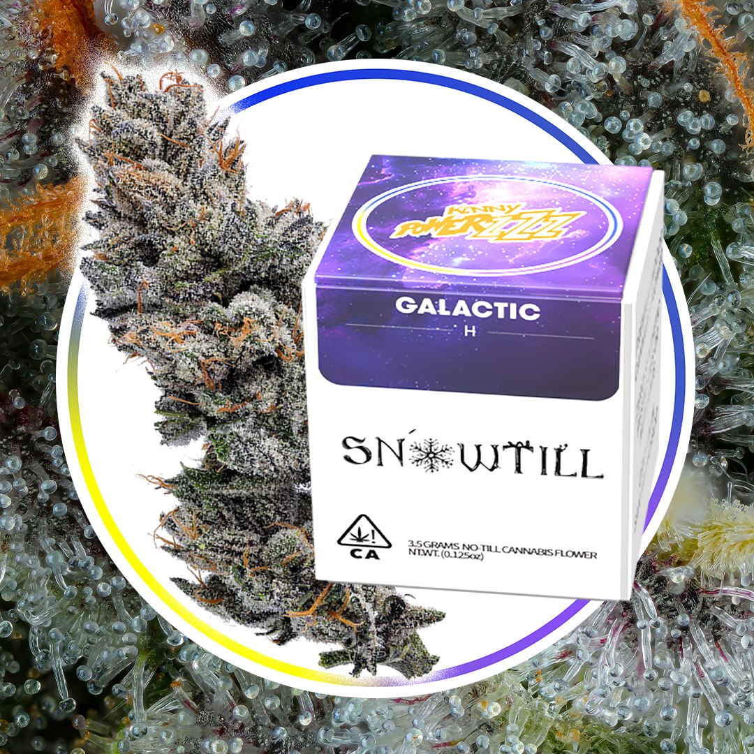 Snowtill tweet media