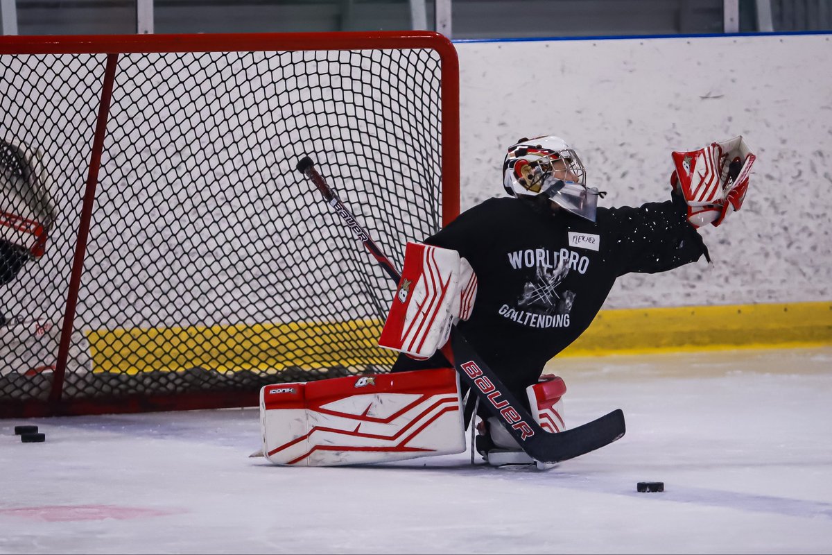 World Pro Goaltending tweet media