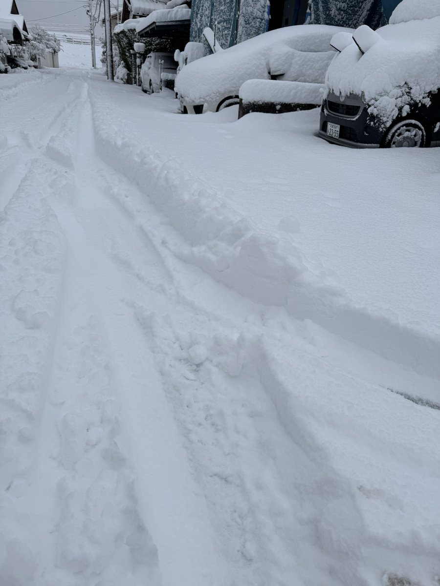 Post by かず⚤ on X: わーーーー！