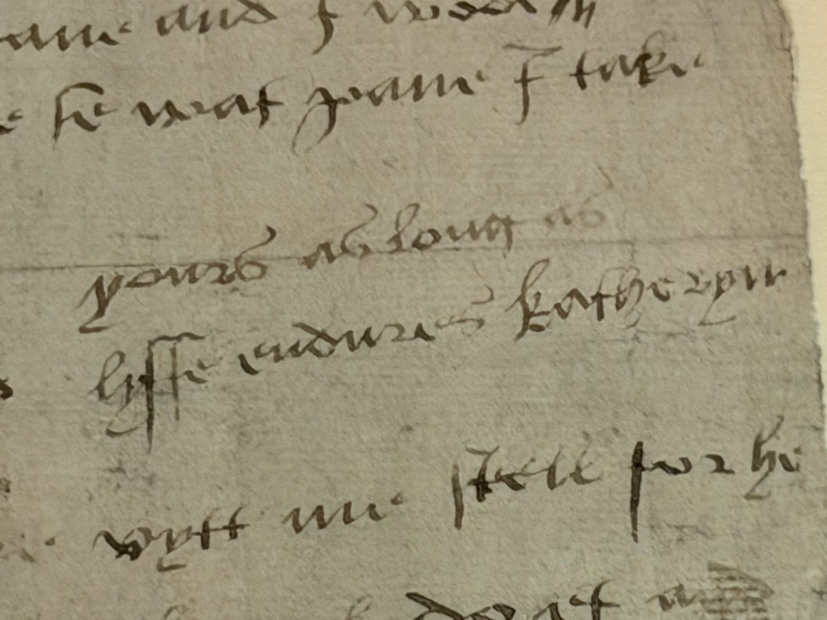 Dr Elizabeth Norton tweet media