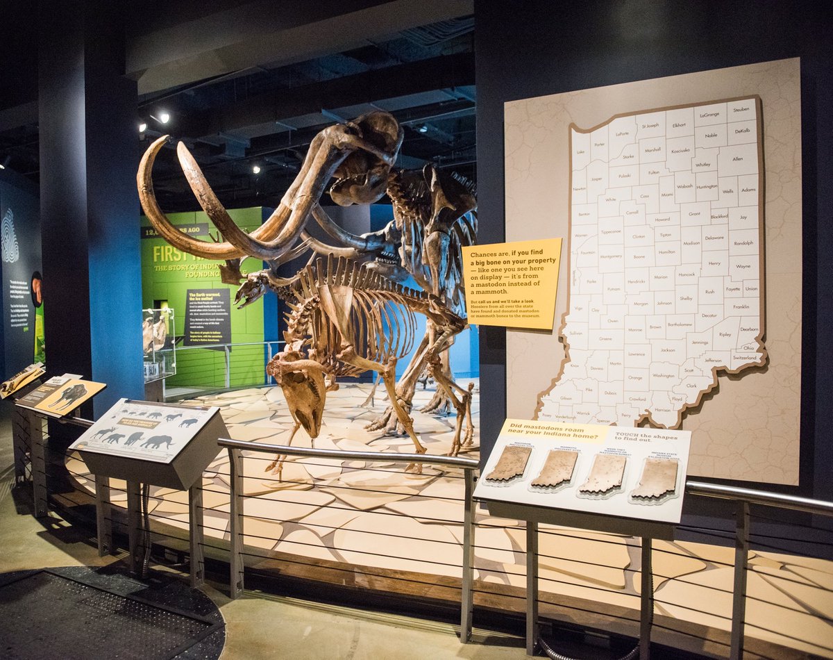 WOCNSociety's tweet photo. Just steps from the Indiana Convention Center are two must-see museums while you're in town for #WOCNext2026
ποΈ Indiana State Museum: dive into Hoosier history, science, and innovation
ποΈ Eiteljorg Museum: explore Native American and Western art
#WhatToDoWednesday #VisitIndy https://t.co/4jNjRtuSn3