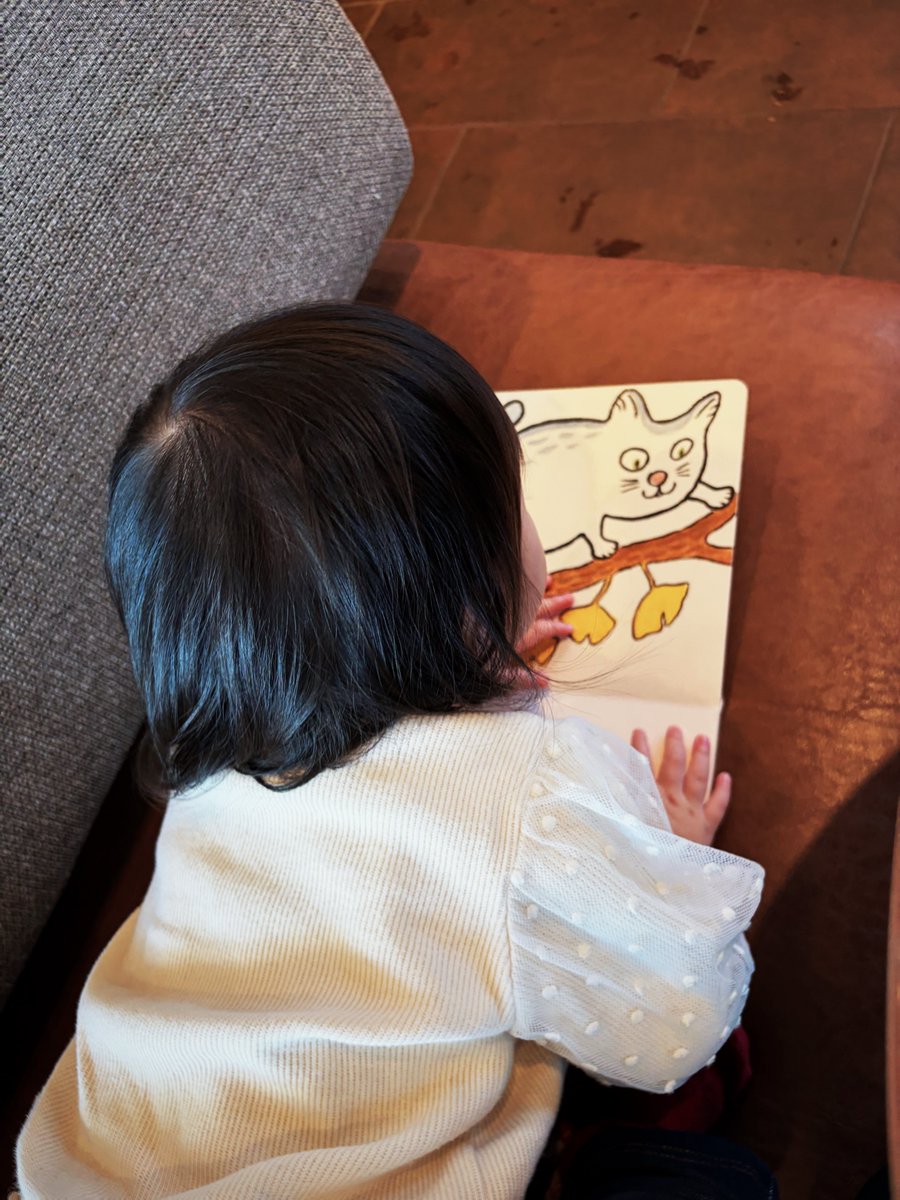 おはようございます。
昨日は優しいカフェ空間に癒された日でした。

本日も積み重ね頑張ります、よろしくお願いします！

#フォロバ100
#フォロバ100絶対
#フォロバ100変な垢以外
#フォローした人全員フォロー
#フォローした人全員フォロバする
#いいねした人フォローする
#ブルバ100