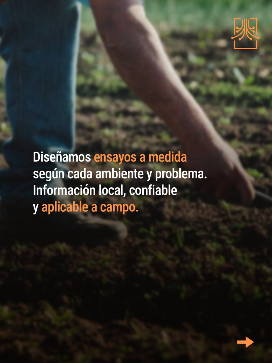 Raíz Científica tweet media