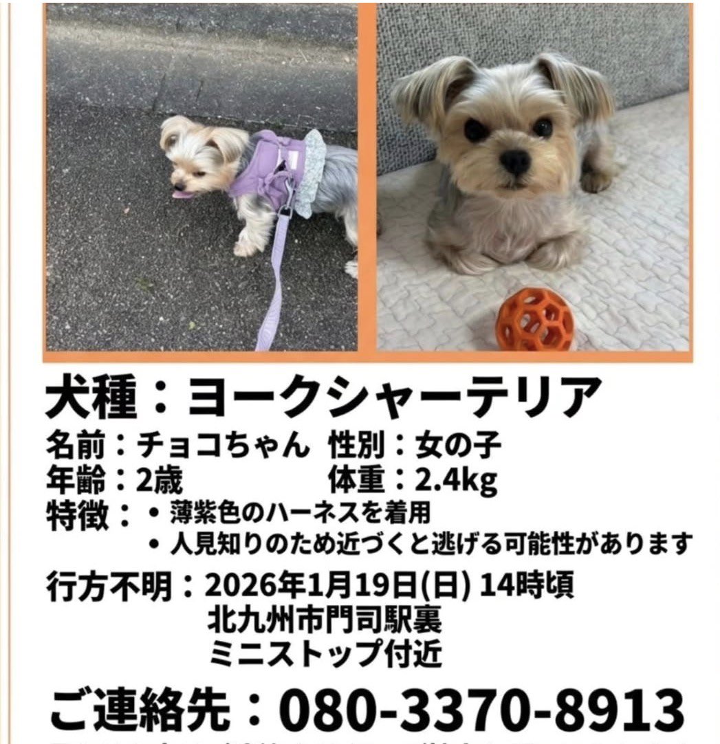 フォロワーさんが協力を呼びかけています。
よろしくお願いします