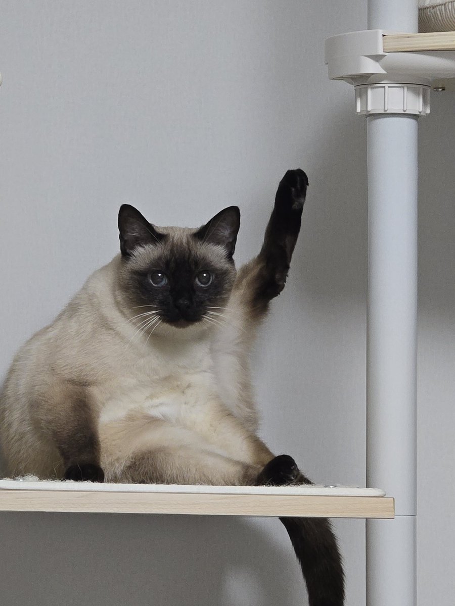 연금복권 1등 2등 당첨되세요🍀