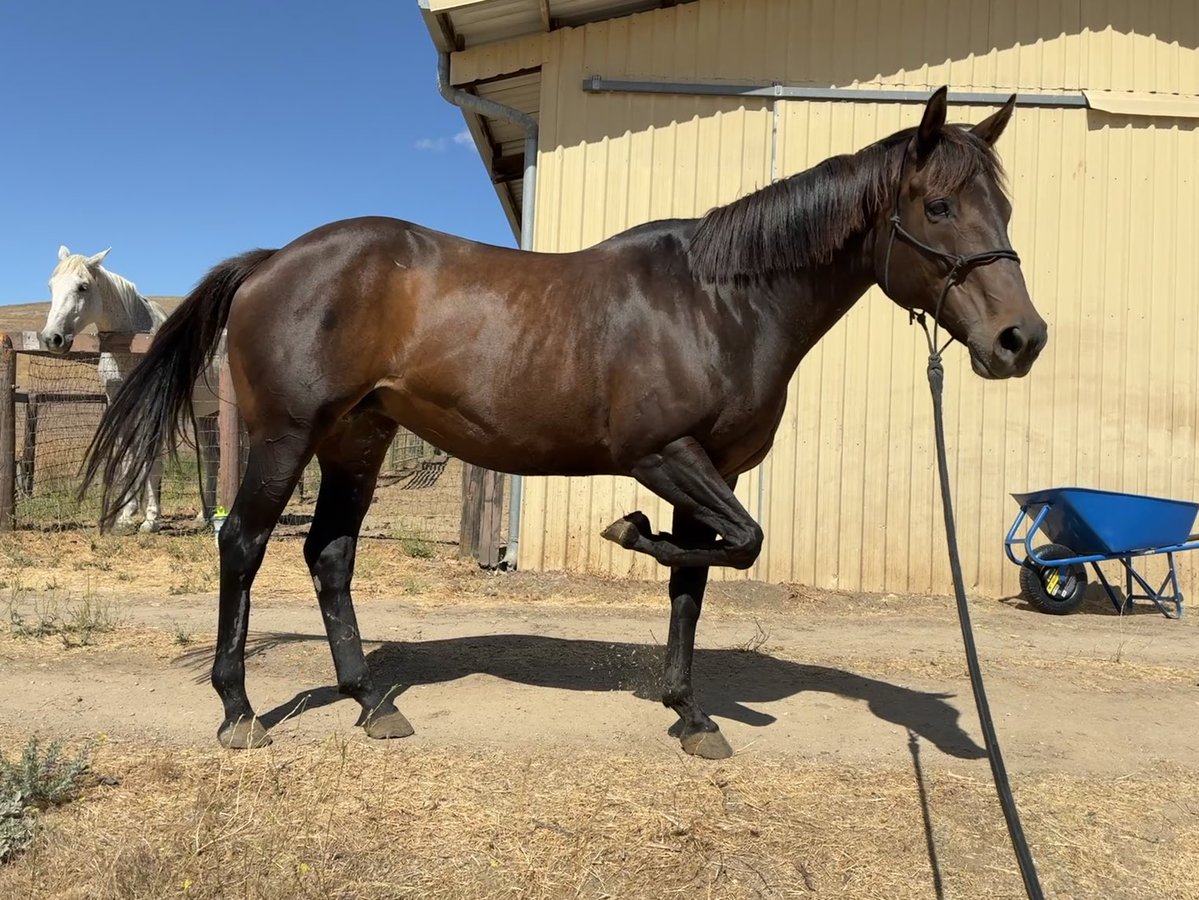 GloriousAllianc's tweet image. Pie, our Rockette!