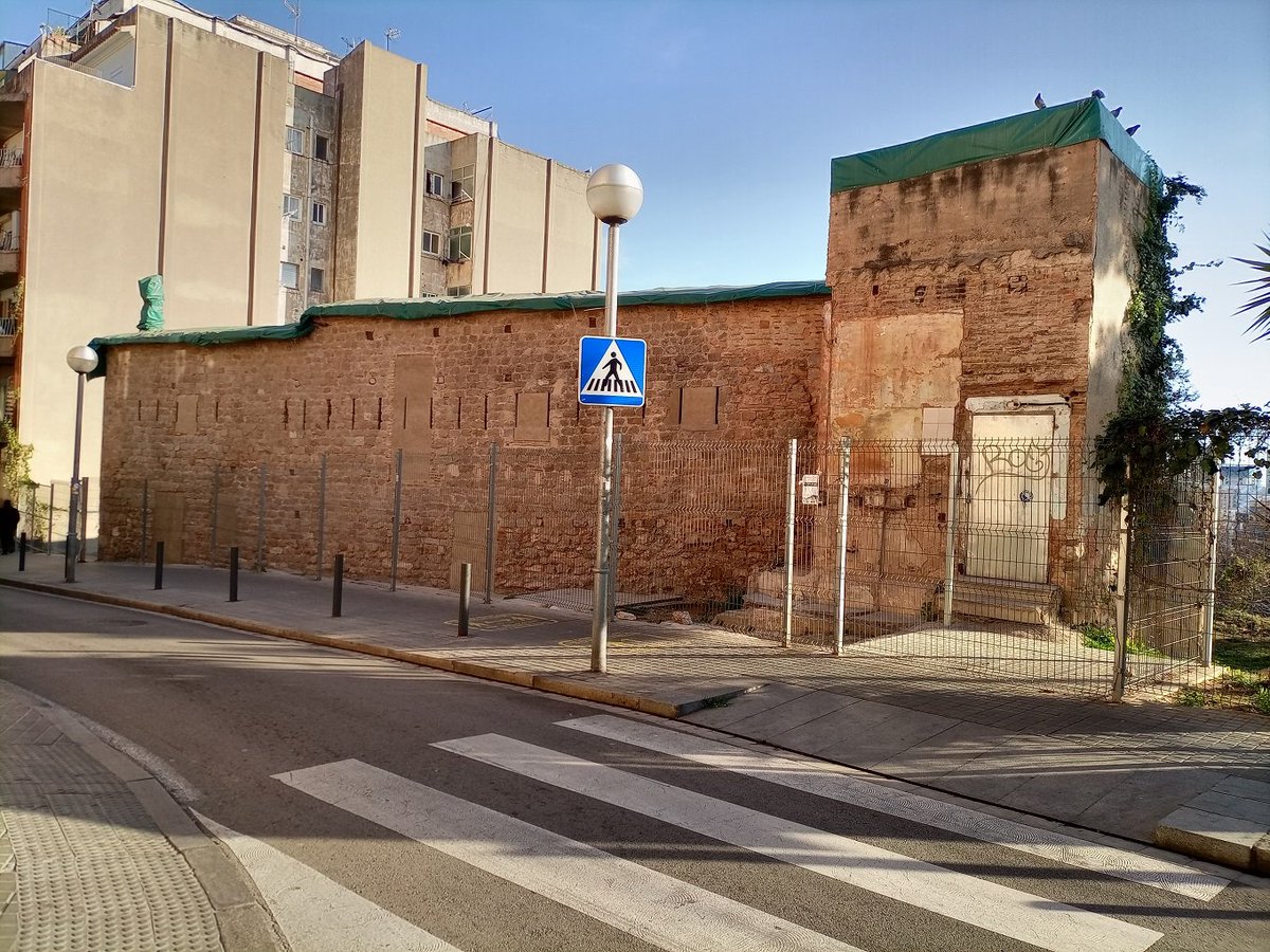 Ireneu Castillo tweet media