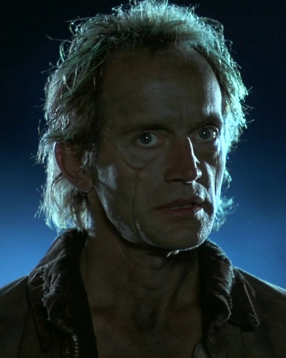 TonyRotherham2's tweet photo. @DyerbolicalDB Jessie. Near Dark https://t.co/AFrsIExESe