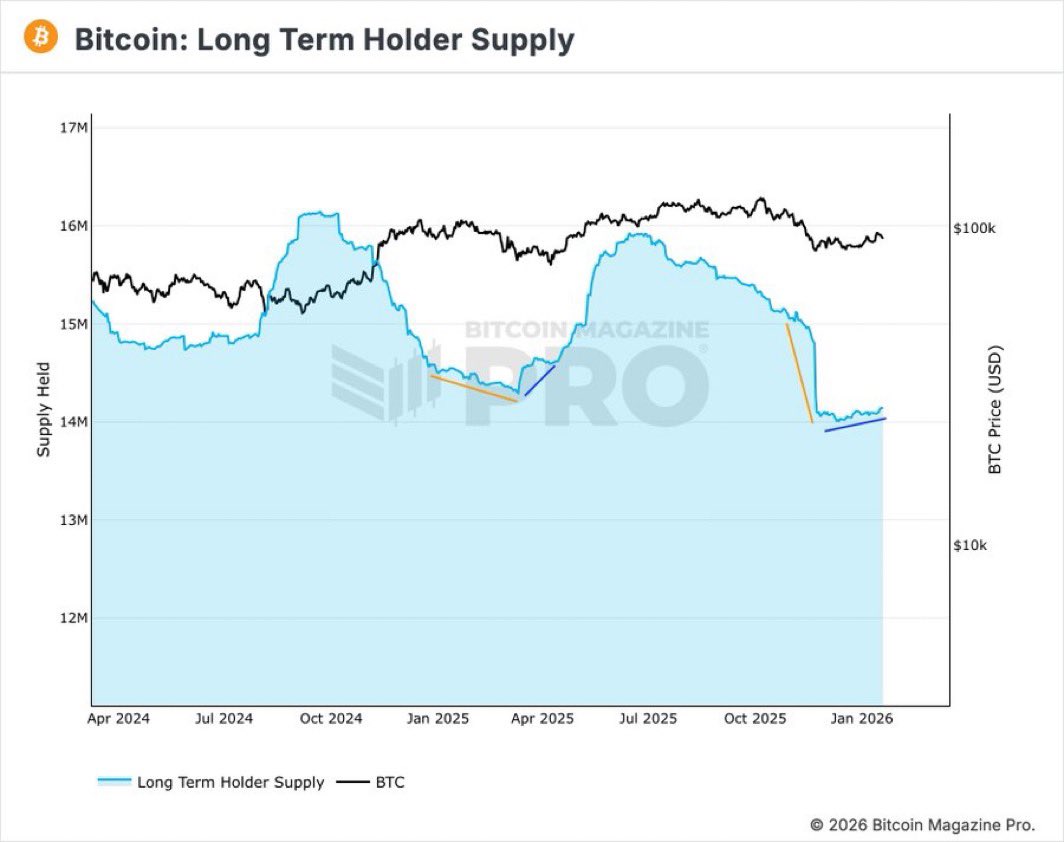 dc 𐤊 (@dworktoshi) / Posts / X
