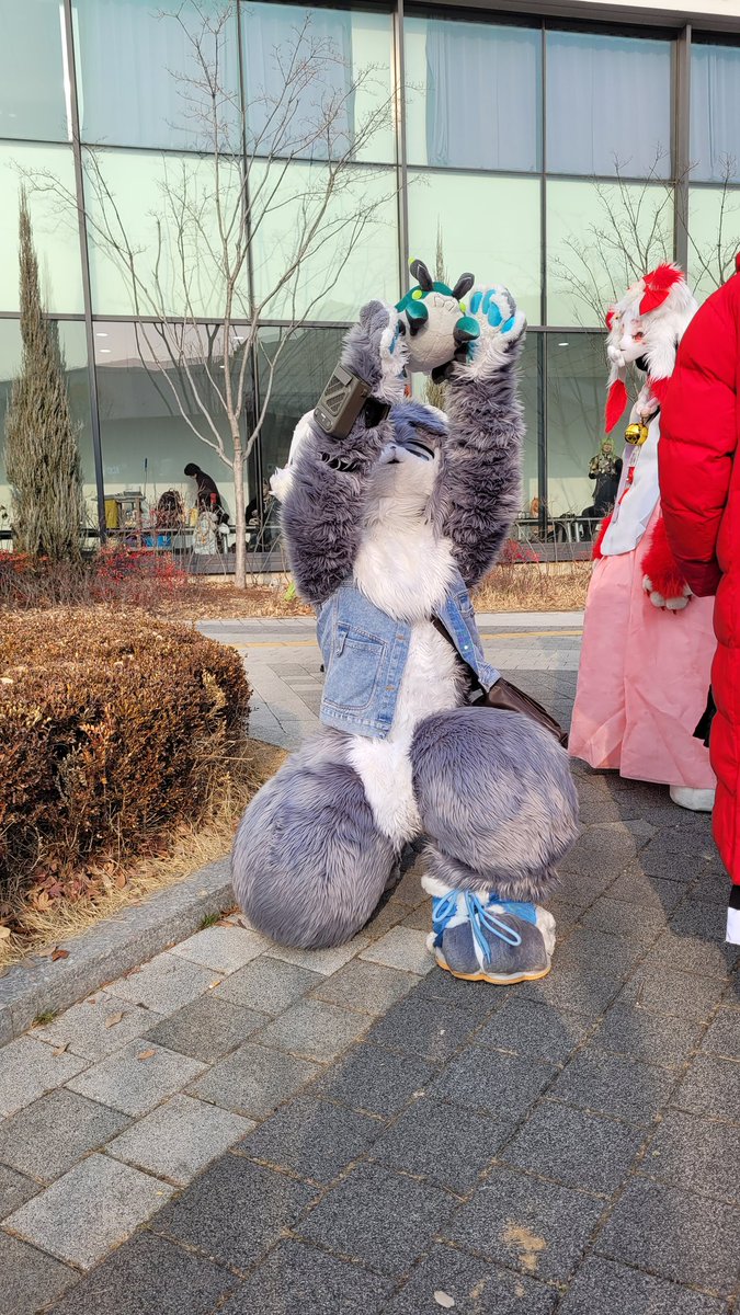 kufursuit's tweet image. 오오 바위게 오오
냠