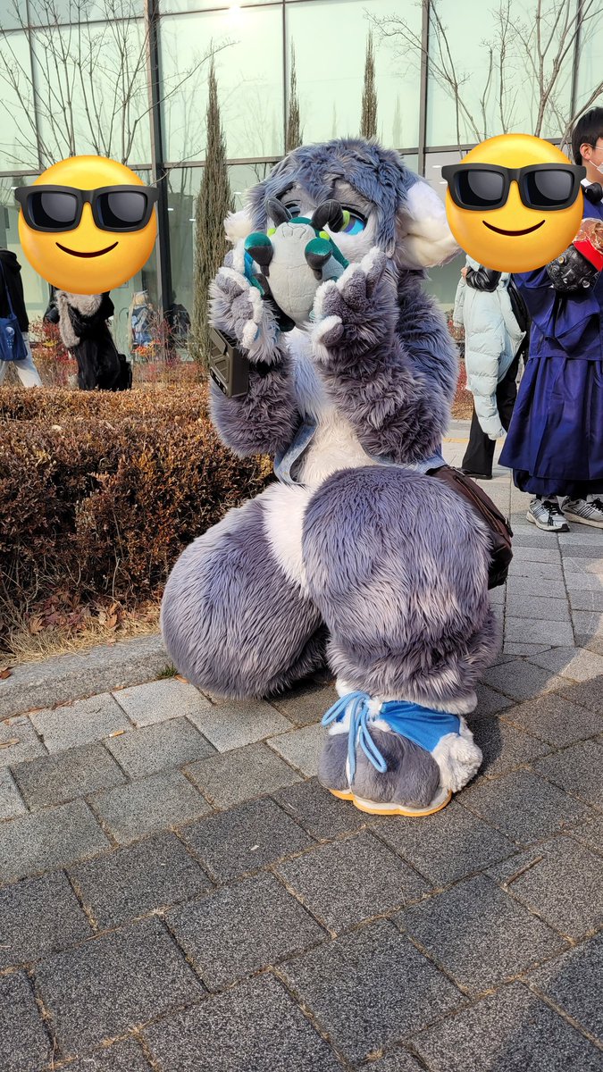 kufursuit's tweet image. 오오 바위게 오오
냠