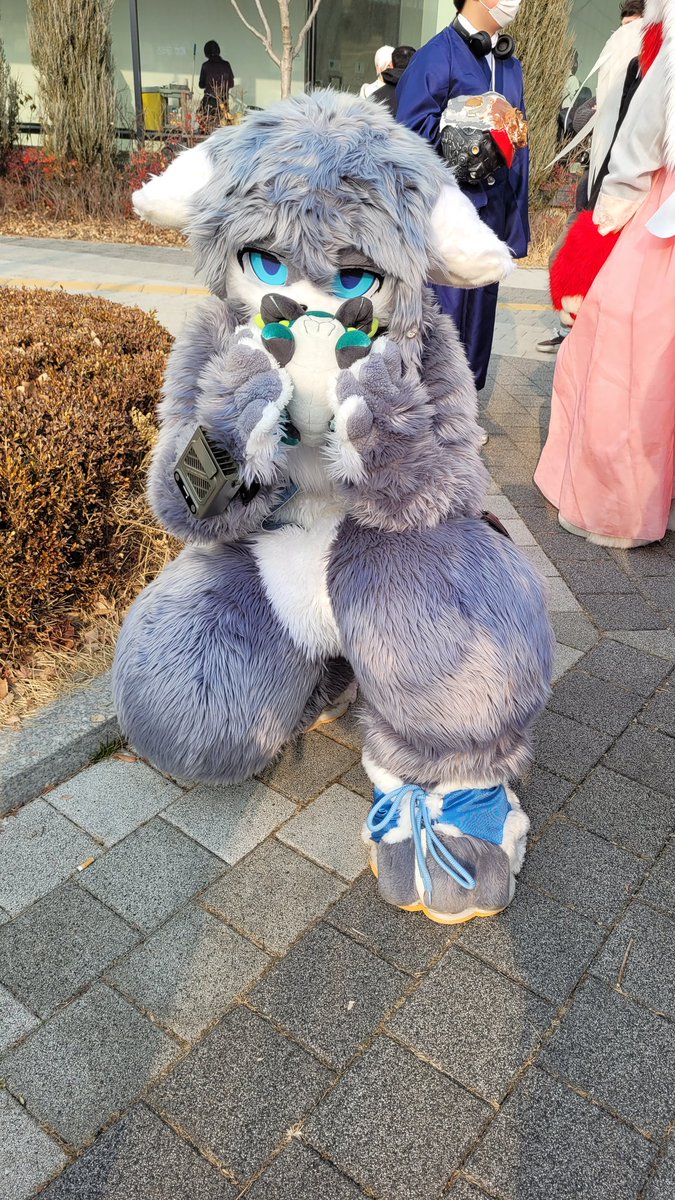 kufursuit's tweet image. 오오 바위게 오오
냠