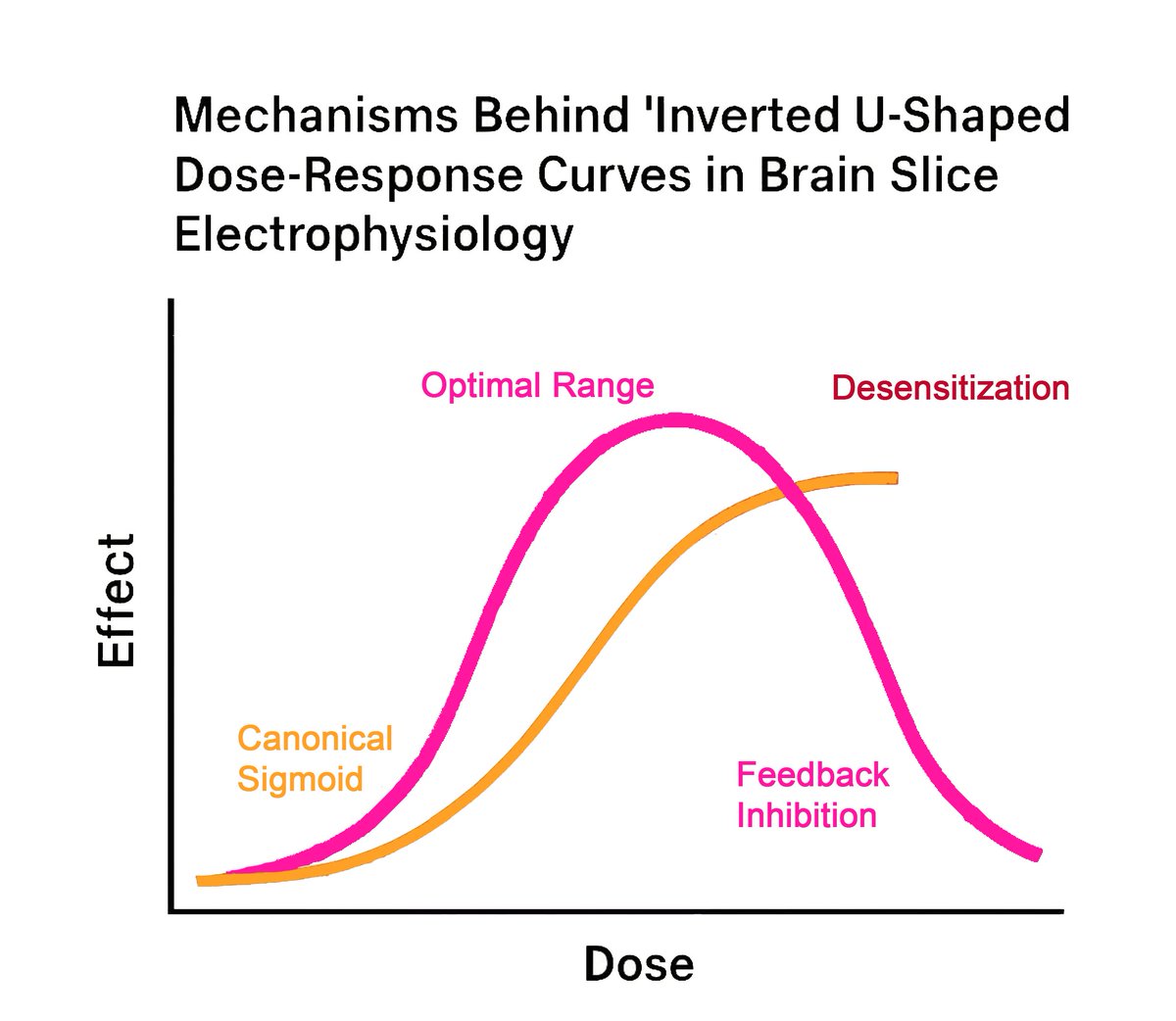 NeuroservicesA's tweet photo. Why do some compounds show bell-shaped dose–responses in brain slice electrophysiology?
Mechanisms like receptor desensitization, open-channel block, feedback inhibition, and depolarization block can cause effects to peak—then decline. https://t.co/vb1GbLT9eC
