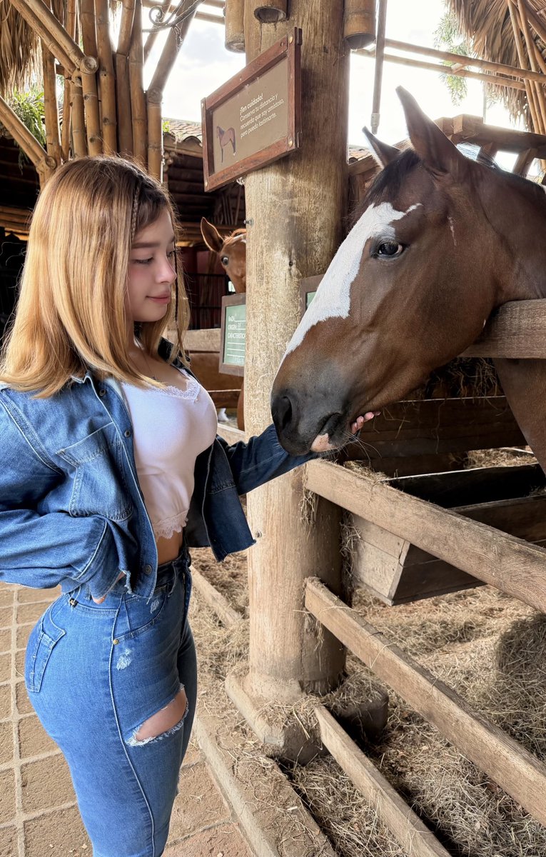iimssarah's tweet photo. Encuentra al caballo celoso https://t.co/p2RmXP6mwD