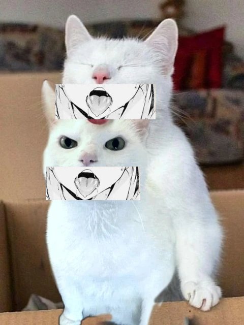 <a href="/nyahegaoo/">NyaHegao</a> I had so much fun making it that I kept trying again 😻😻