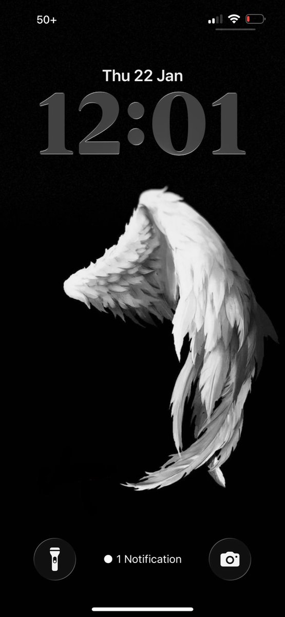 one day i am gonna grow wings