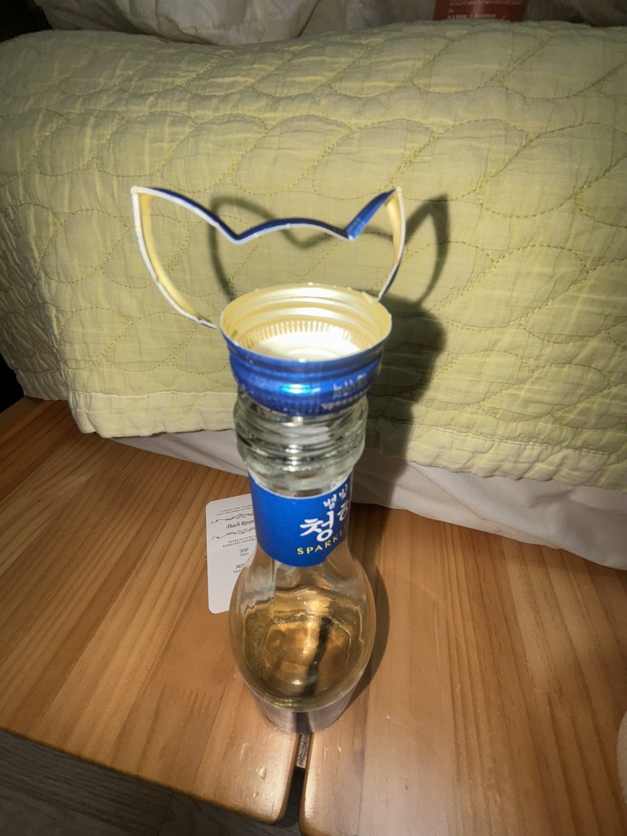 고양이 만들려고 했는데 박쥐됏어 ㅠㅠㅠ🦇