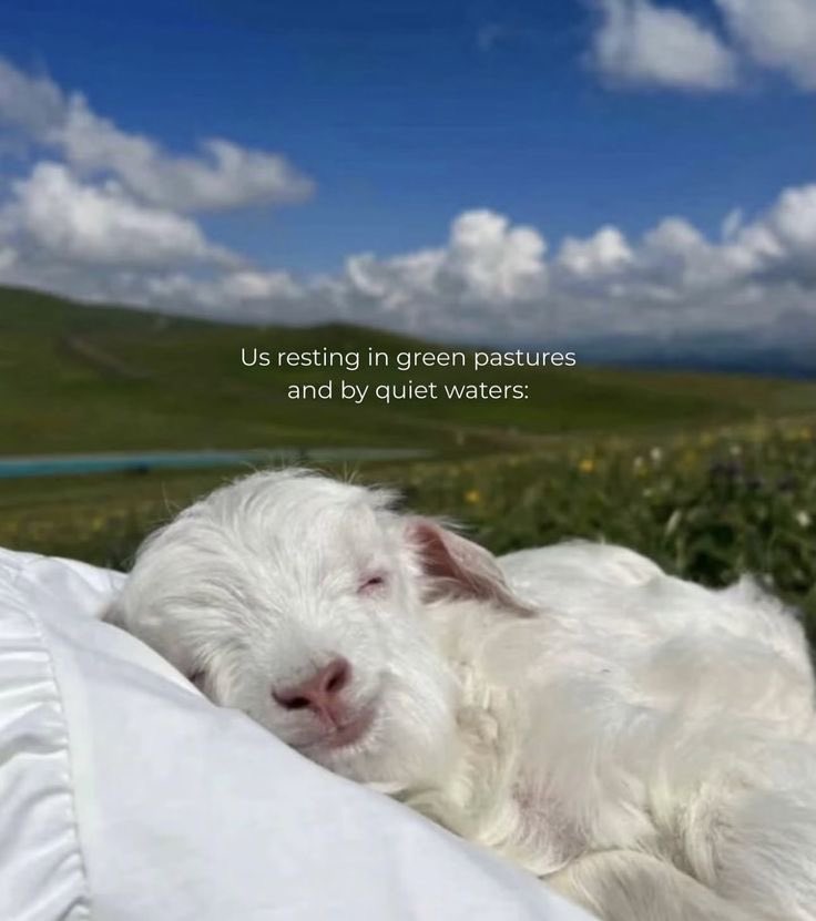 KObregonWriter's tweet image. when we’re with Jesus 🫶🏼