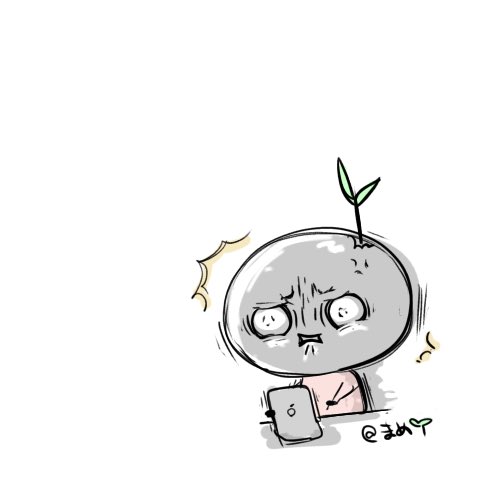 くろまめ🌱 (@kurom710) / Posts / X