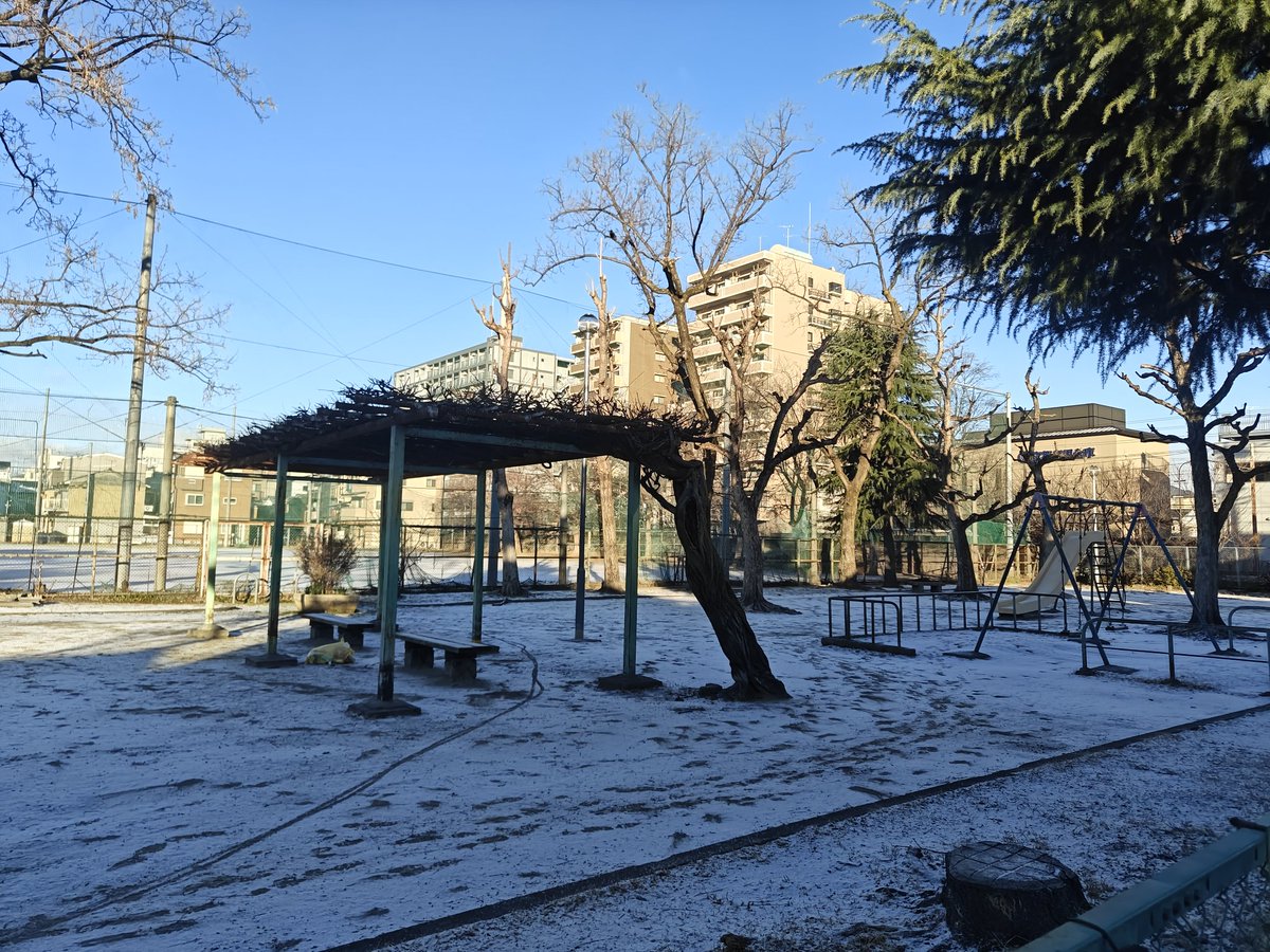 🐦たけちゃんくんさん🐧🌿 (@take_plu) / Posts / X