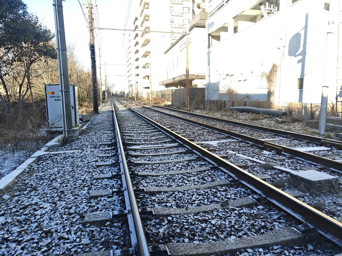 🐦たけちゃんくんさん🐧🌿 (@take_plu) / Posts / X